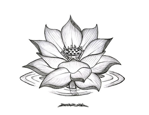 Lotus